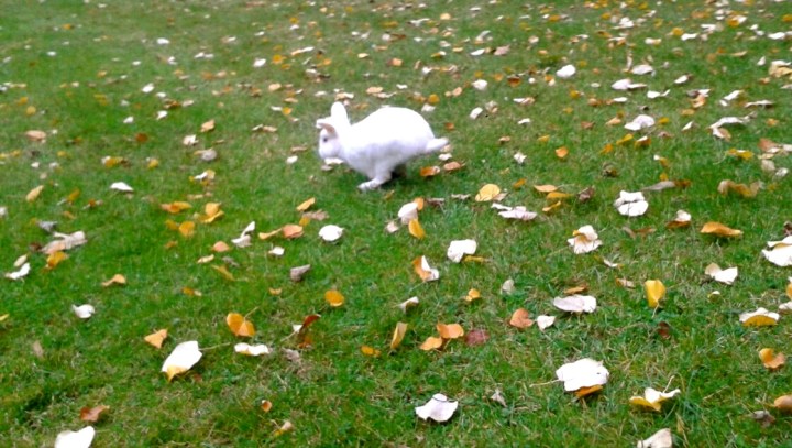 20161023_165200_resized