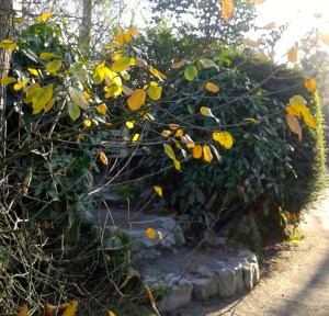 20161203_131738_resized-2