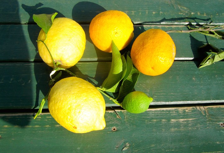 het-geel-van-de-citroenen-2