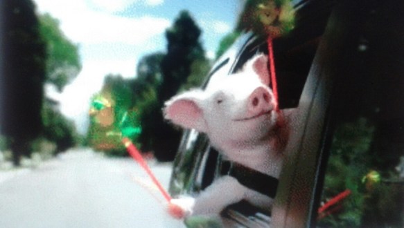 autosnelwegsprookje-2