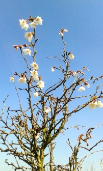 20170316_121854_resized 2