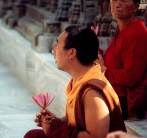 1921934_10203440746446163_722917345_n