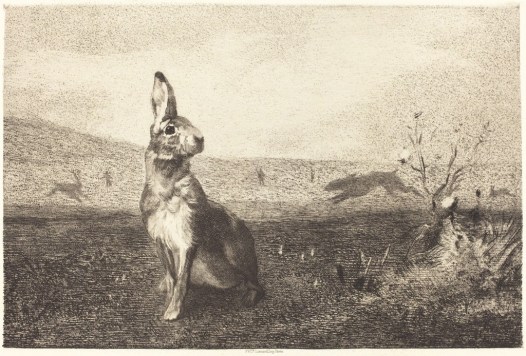 felix-bracquemond-after-albert-de-balleroy-the-hare-ca-1860