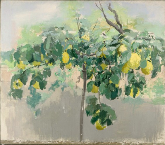 il-membrillo-antonio-lopez